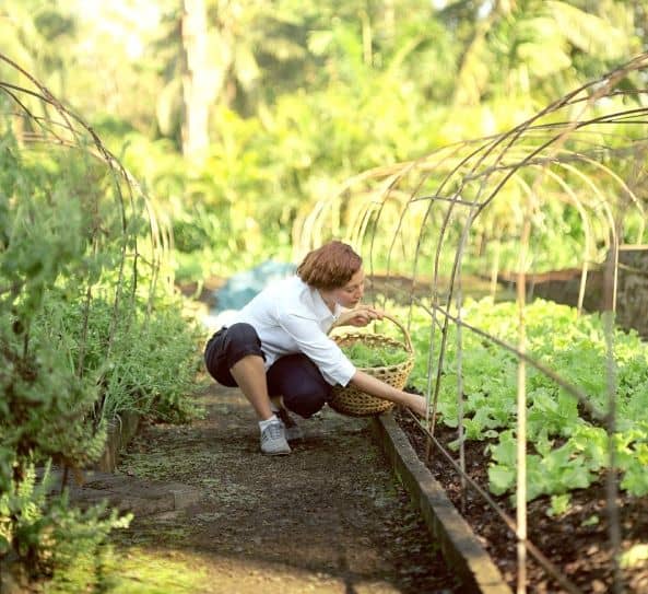 Organic Garden